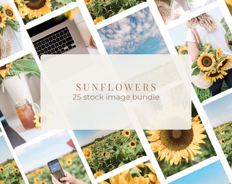 Sunflowers Stock Bundle / 28 Blooming Sunflower Images / Vibrant Stock Photos for Business and Social Media