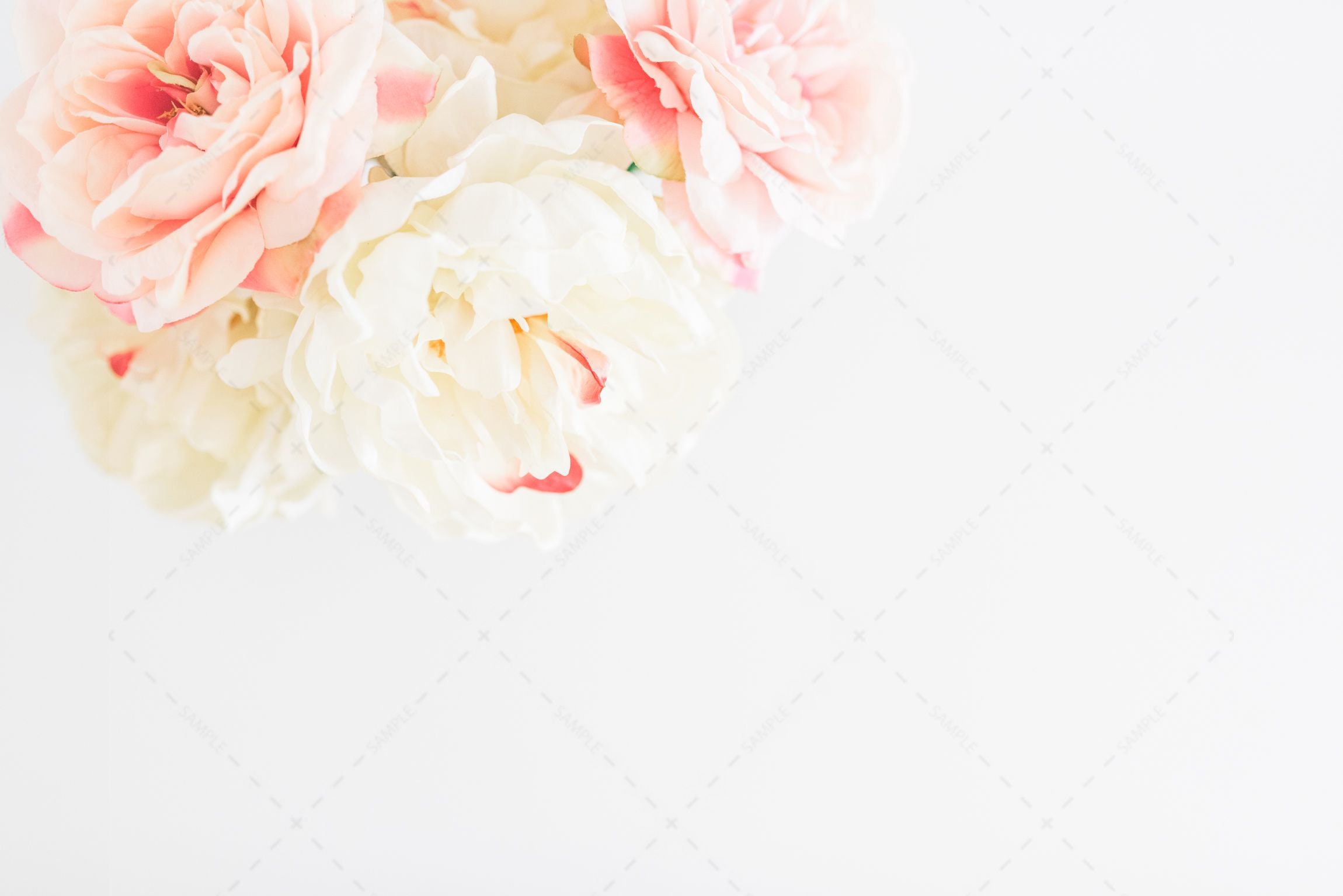 Blush and Wood Desktop Office Stock Photo Bundle / Styled Stock Photos