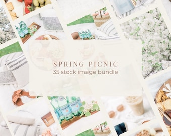 Spring Picnic Stock Photo Bundle / Spring Styled Stock Photos / 35 Stock Images for Your Online Business