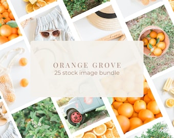 Orange Grove Stock Bundle / 25 Vibrant Orchard Images / Perfect Fresh and Fun Stock Photos for Your Business