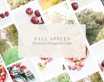 Fall Apple Orchard Stock Photo Bundle | 22 Classic Autumn Images for Social Media and Marketing