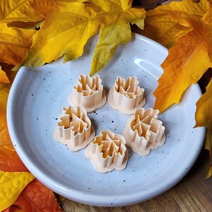 May include: Five light peach-colored leaf-shaped cookie cutters on a light blue speckled plate. The plate is surrounded by yellow and orange fall leaves.