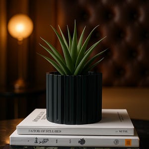 May include: A black, cylindrical planter with vertical grooves holds a green plant with long, pointed leaves. The planter sits atop a stack of books with white covers and dark text. The background is blurred.