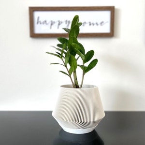 Succulent Planter, Pot for succulent, Pot with drain, Cactus Planter, Retro planter, Unique Planter, 3d Succulent pot, White succulent Pot