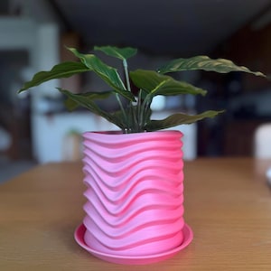 May include: A pink, wavy-patterned planter pot with a matching saucer holds a green leafy plant. The pot has a cylindrical shape with a textured, layered design. The plant's leaves are a vibrant green, contrasting with the pink of the pot.