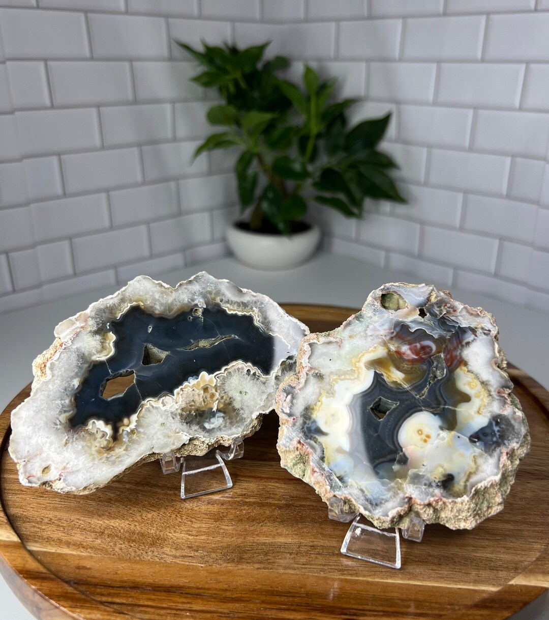 Black Flower Agate Crystal Slabs Etsy