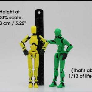 Op de afbeelding: Twee gearticuleerde actionfiguren, een gele en een groene, staan naast een liniaal. De gele figuur is 13,3 cm of 5,25 inch hoog. De tekst "Height at 100% scale: 13.3 cm / 5.25" en "(That's about 1/13 of life size)" is zichtbaar in de afbeelding.