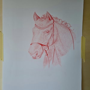 Pencil drawing &quot;Red Horse&quot; red pencil on white paper 35 x 50 cm