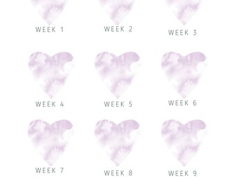 12 Week Weight loss Tracker (Purple)