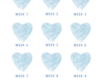 12 Week Weightloss Tracker