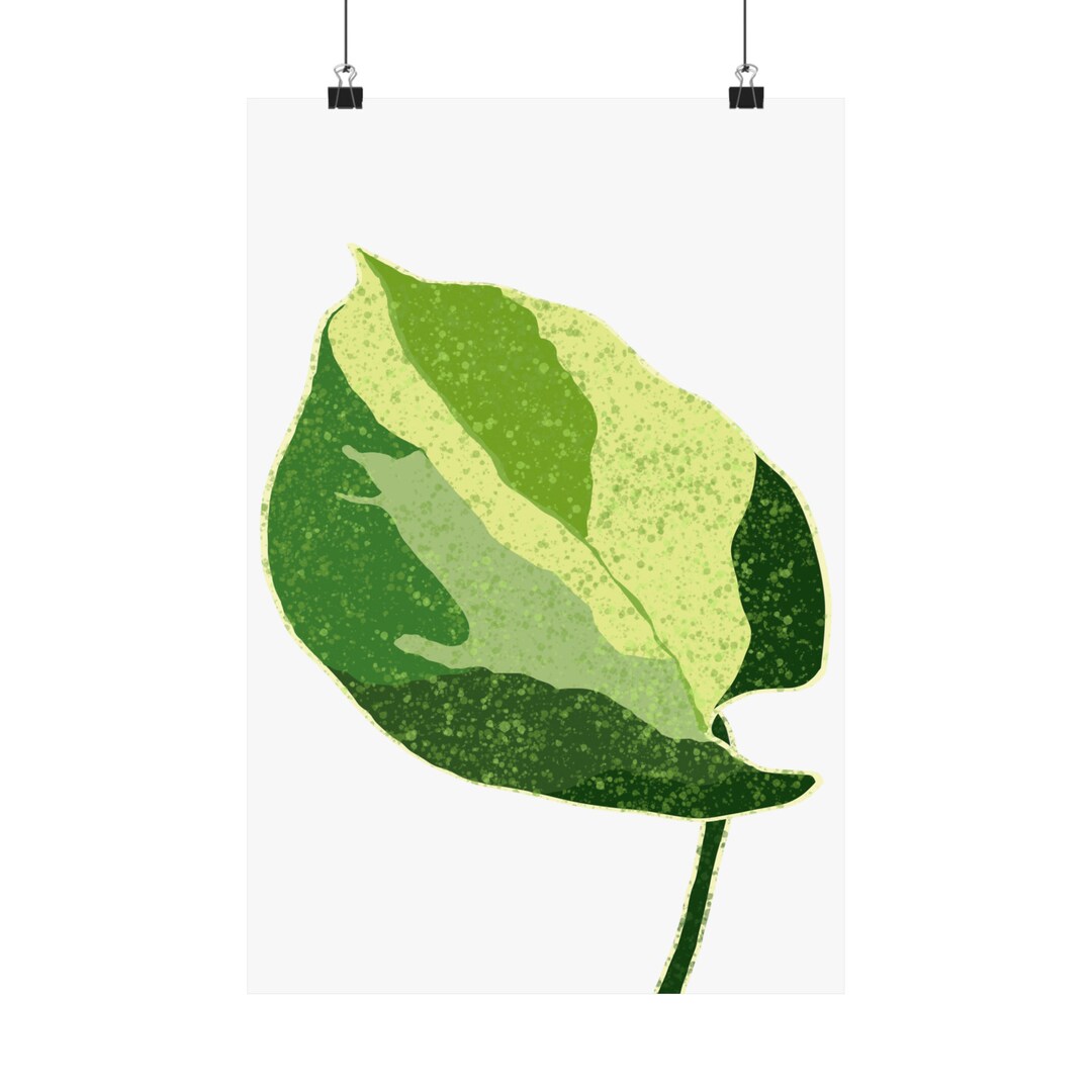 Manjula Pothos Print - Etsy