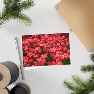 Tulipes à impression rose - Carte postale, pack de 10