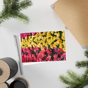 Tulip rows - Postcard, 10-pack