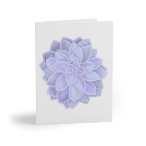 Graptopetalum &#39;Murasaki&#39;  Succulent Greeting Card