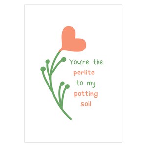 Heart Plant Valentines Day Card, valentines day, greeting card, plant lover, gift, girlfriend, boyfriend, indoor plant, house plant, love