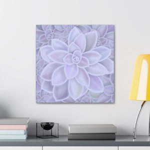 Graptopetalum &#39;Murasaki&#39; Succulent Canvas