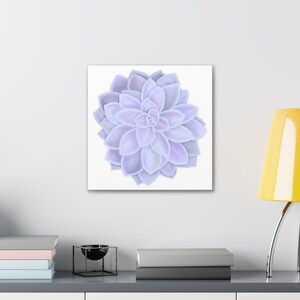 Graptopetalum 'Murasaki' Succulent Canvas
