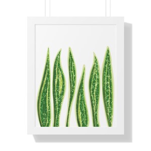 Snake Plant (Sanseiveria) Framed Print