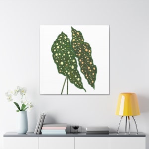 Begonia Maculata Canvas