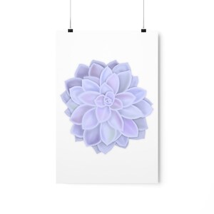 Graptopetalum &#39;Murasaki&#39; Succulent Print