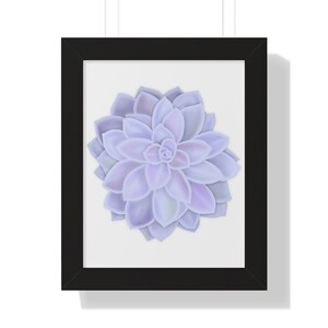 Graptopetalum &#39;Murasaki&#39; Succulent Framed Print