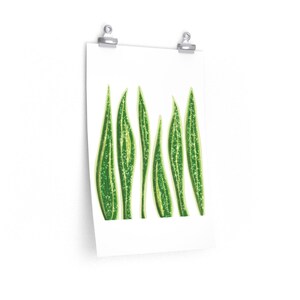 Snake Plant Print