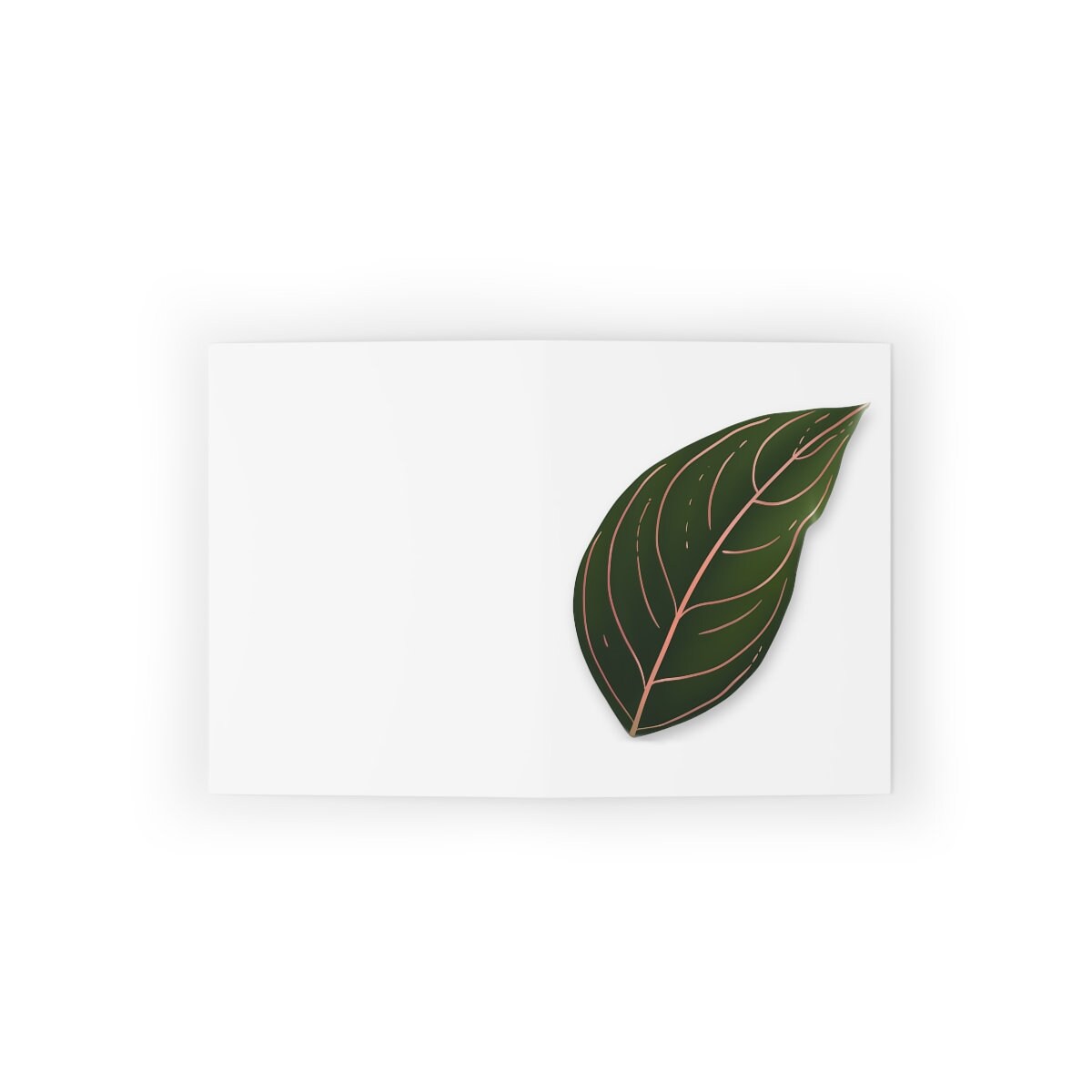 Aglaonema Rotundum Greeting Card - Etsy
