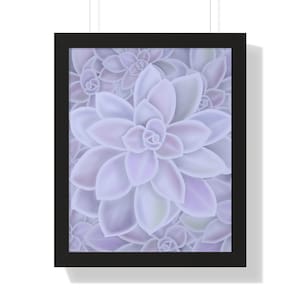 Graptopetalum &#39;Murasaki&#39; Succulent Framed Print