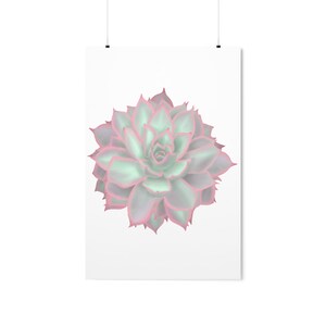 Echeveria Violet Queen Succulent Print