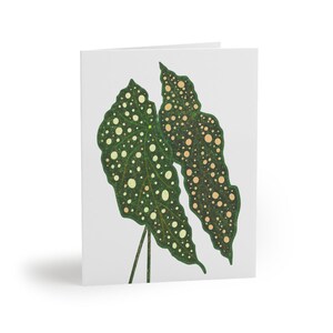 Begonia Maculata Greeting Card