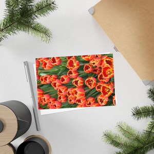 Denmark tulips - Postcard, 10-pack