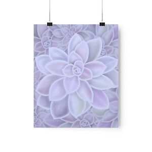 Graptopetalum &#39;Murasaki&#39; Succulent Print
