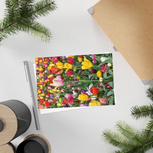 Champ de tulipes arc-en-ciel - Carte postale, pack de 10