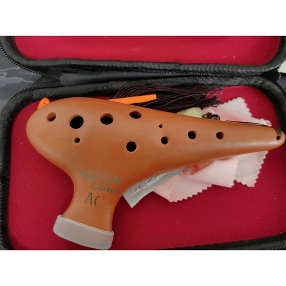 Ocarina playing sale