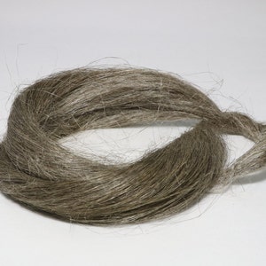 Puede incluir: Un manojo de fibras de lino marrón natural, listo para hilar o tejer.