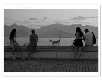 Black and White Street Photography Print: Cat Wall Art