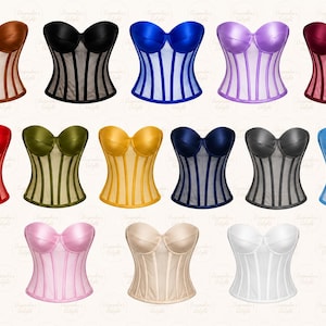 Sheer Tulle Corset Top, Bridal Lace-up Bustier, Transparent waist snatcher, Various Colours
