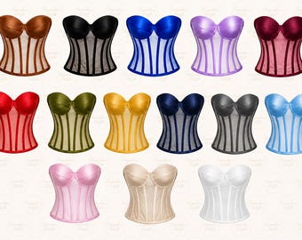 Sheer Tulle Corset Top, Bridal Lace-up Bustier, Transparent waist snatcher, Various Colours