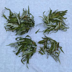 3 pack Organic Dried Willow Wreaths