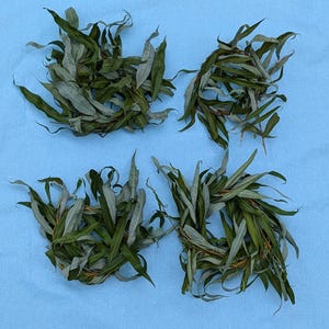 20 pack Willow Wreaths