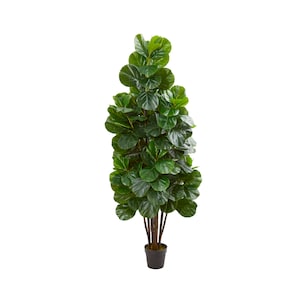 May include: A tall artificial fiddle leaf fig tree with dark green leaves and a black plastic pot.