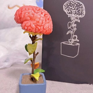Brain Flower Statue Resin Brain Flower Bookshelf Decor Brain Sculptures Bookshelf Desktop Collection Brain Statues Brain Flower Figurine