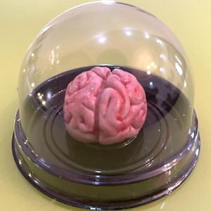 Brain Flower Statue Resin Brain Flower Bookshelf Decor Brain Sculptures Bookshelf Desktop Collection Brain Statues Brain Flower Figurine