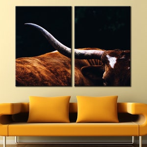 May include: A close-up of a brown and white longhorn steer with large horns. The steer is looking to the right of the image. The background is dark.
