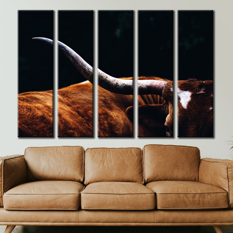 May include: A close-up of a brown and white Texas Longhorn bull with large horns. The bull is in a dark setting, with only its head and horns visible. The horns are long and curved, and the bull's fur is thick and shaggy.