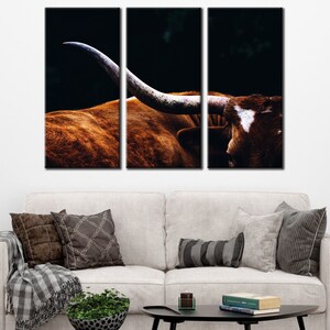 May include: A close-up of a brown and white Texas Longhorn bull with large horns. The bull is standing in a dark, wooded area. The image is split into three panels.