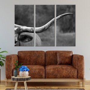 Peut inclure: Une photographie en noir et blanc de la t&ecirc;te et des cornes d'un taureau Texas Longhorn. L'&oelig;il du taureau est visible et les cornes sont longues et courb&eacute;es. La photo est divis&eacute;e en trois panneaux.
