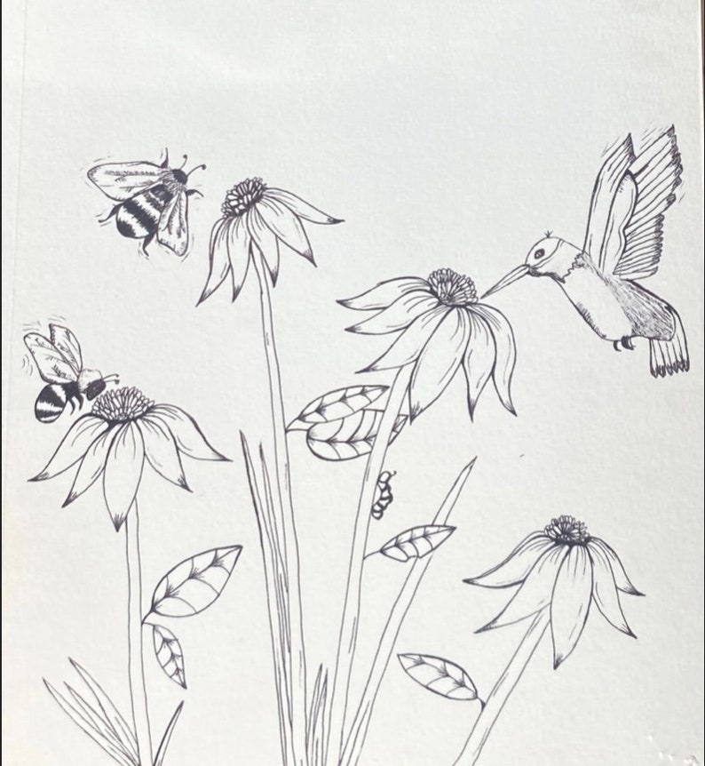 May include: A black and white line drawing of a hummingbird hovering near a flower with a bee on another flower. The drawing is on a white background.