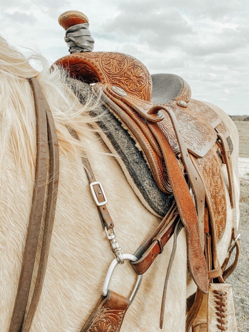 May include: A close-up of a brown leather saddle with intricate floral designs, sitting on a white horse. The saddle is secured with leather straps and buckles.