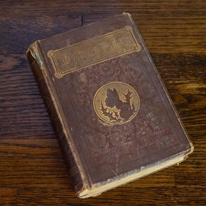 Antique Lowell's Poems Household Edition Książka w twardej oprawie autorstwa Jamesa Russella Lowella